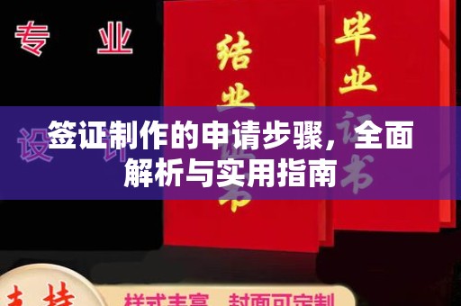 大化签证制作的申请步骤，全面解析与实用指南