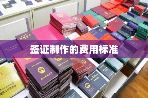 大化签证制作的费用标准