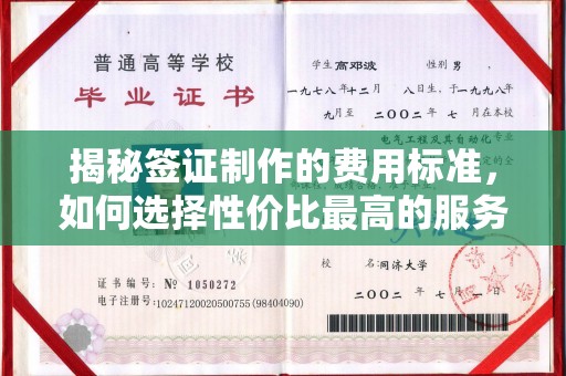 大化揭秘签证制作的费用标准，如何选择性价比最高的服务？