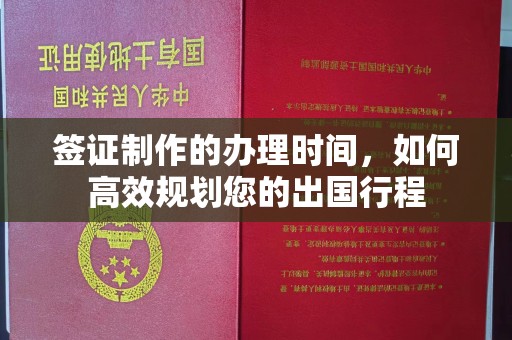 大化签证制作的办理时间，如何高效规划您的出国行程