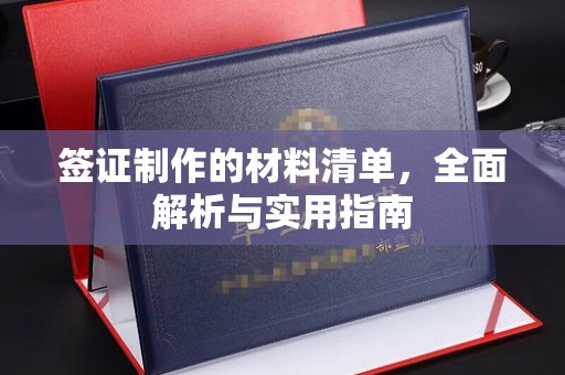大化签证制作的材料清单，全面解析与实用指南